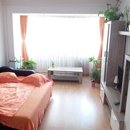 Apartament Apartament Anca Konstanca Zewnętrze zdjęcie