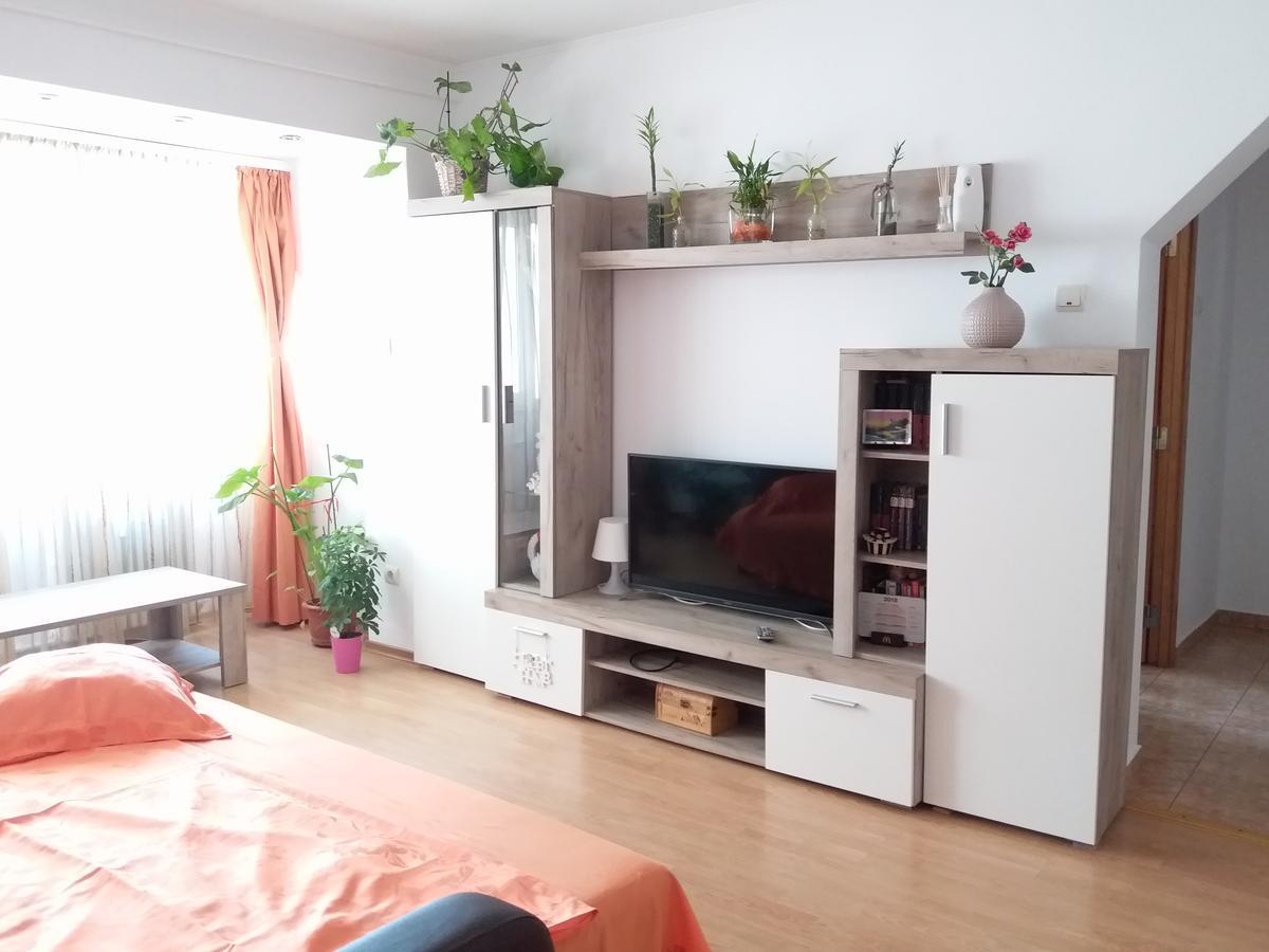 Apartament Apartament Anca Konstanca Zewnętrze zdjęcie