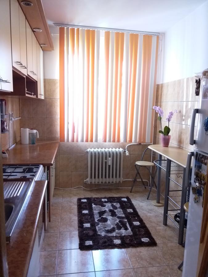 Apartament Apartament Anca Konstanca Zewnętrze zdjęcie